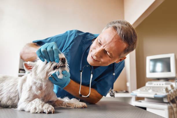 Best After-Hours Emergency Dentist in Arcadia, IN